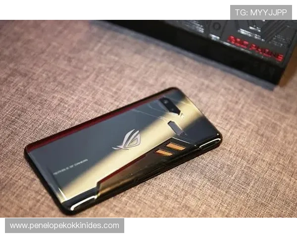 凯发娱乐手机版会员登录流程详解帮助玩家顺利进入游戏体验