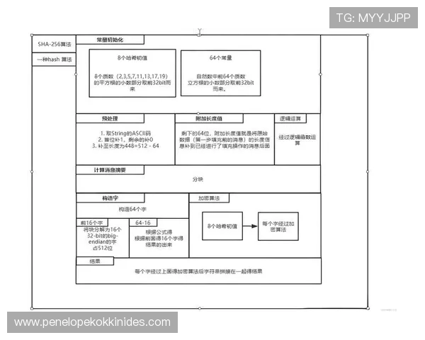 访问k8手机登录官网的最佳途径，确保账号信息安全的完整流程